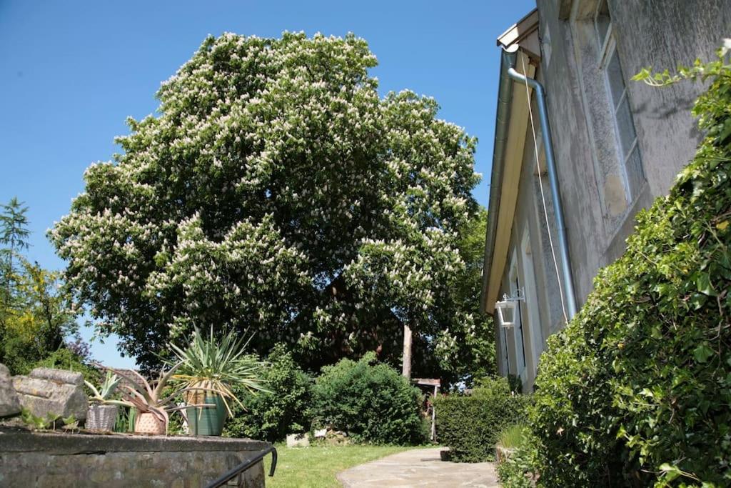 Haus Keppelborg: Zi Antonia Mit Kirchplatzblick Apartment Heek Екстериор снимка